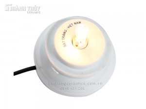 Đèn Xông Tinh Dầu Hoa Hồng 3D Sang Trọng Tinh Dầu Thơm Phòng