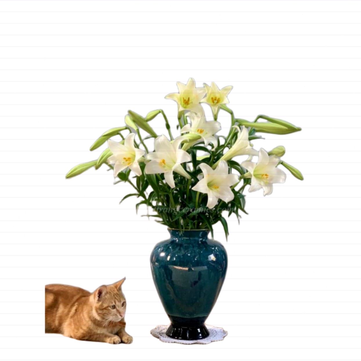 Lọ hoa men hỏa biến trái tim 30cm sang trọng độc đáo tiện dụng 