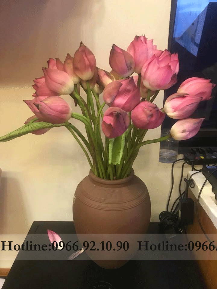 Chum sành đất nung Bát Tràng cắm hoa cao cấp H36cm D26cm