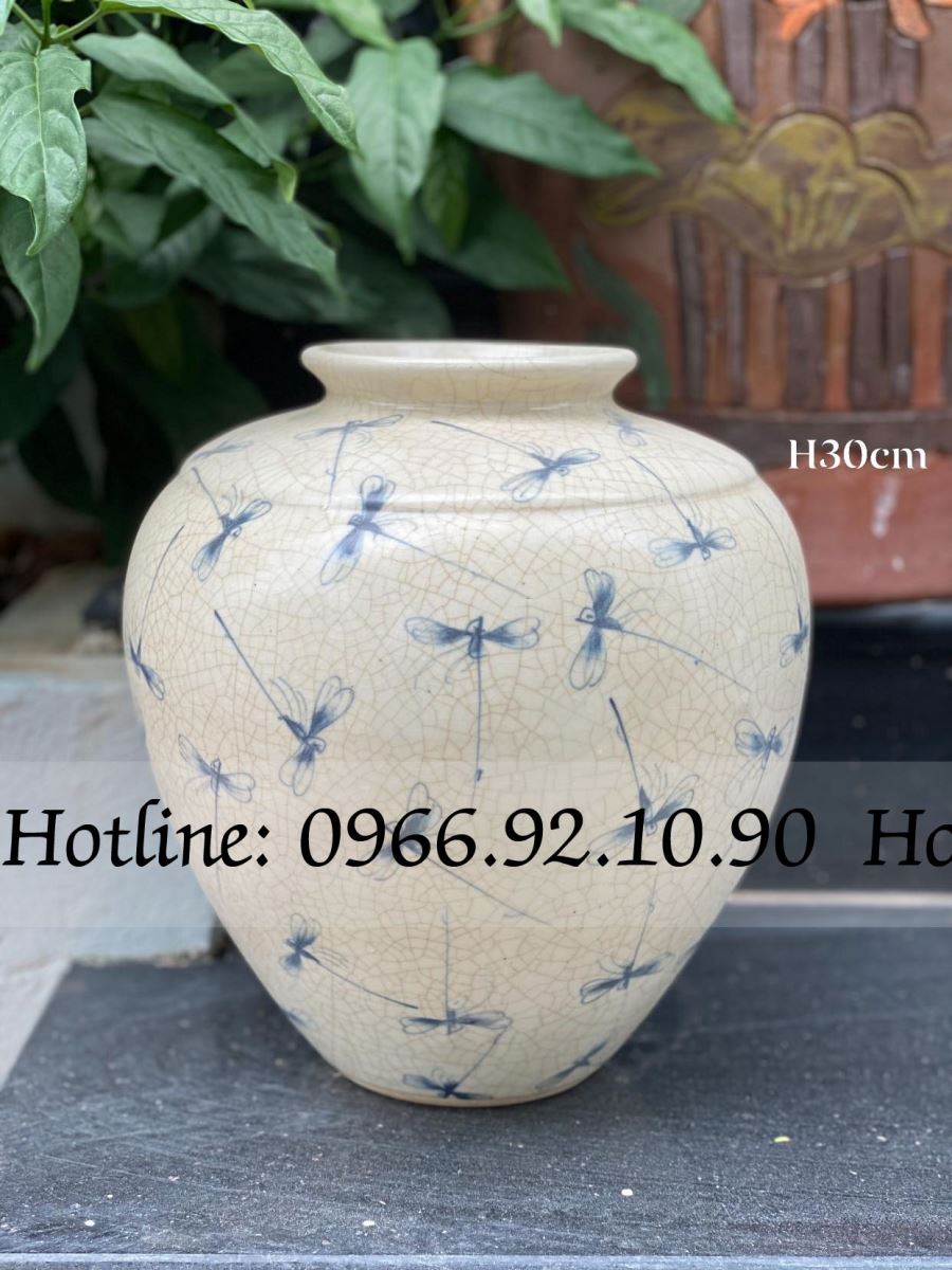 Vò chum men rạn cổ H30cm họa tiết chuồn chuồn Bát Tràng đẹp